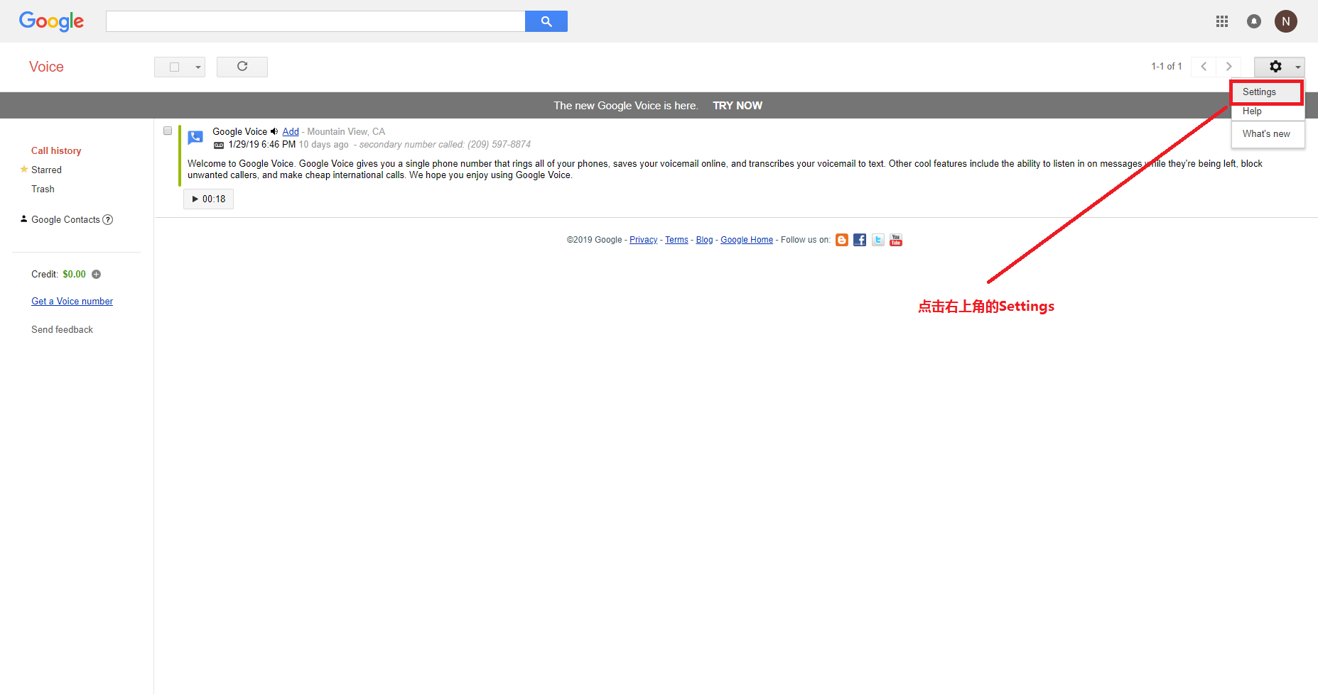 Google Voice-oldSettings.png